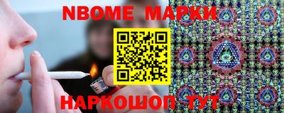 крисы Моздок