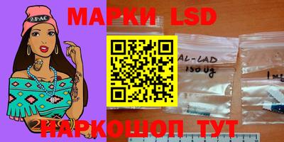 крисы Моздок