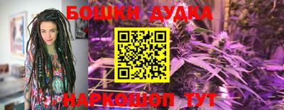 apvp Можга
