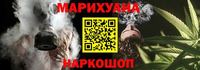 крисы Моздок