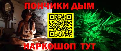 крисы Моздок