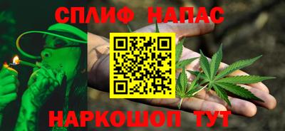 apvp Можга