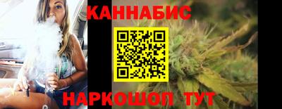 крисы Моздок