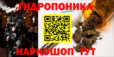 крисы Моздок