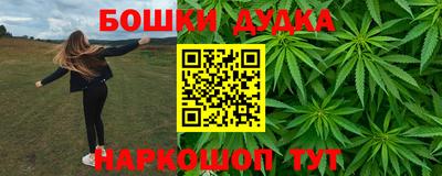 крисы Моздок