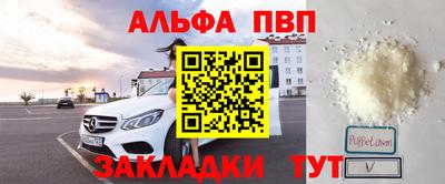 крисы Моздок