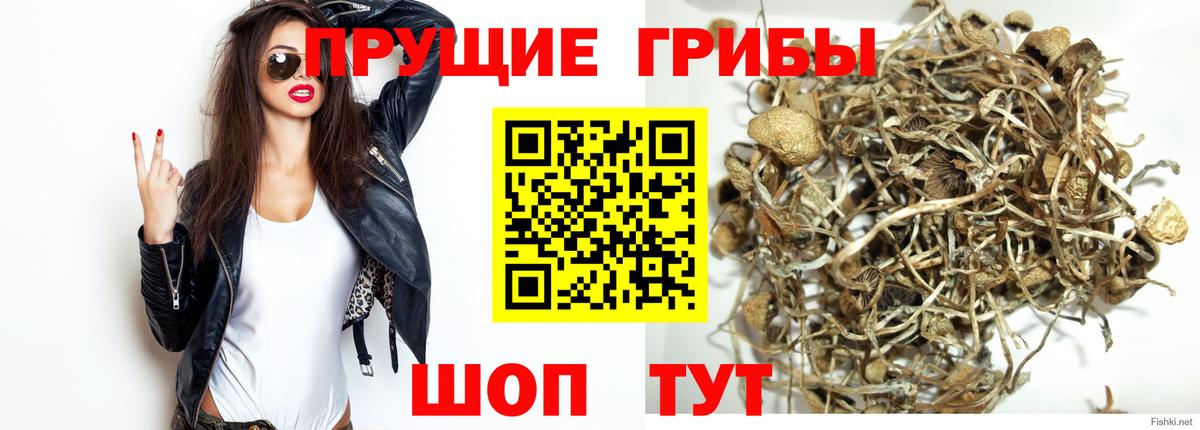 Владивосток  Псилоцибиновые грибы мухоморы  Псилоцибиновые грибы MAGIC MUSHROOMS  Вход с VPN 